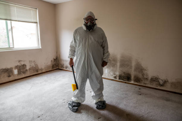 Best Residential Mold Remediation in Vass, NC